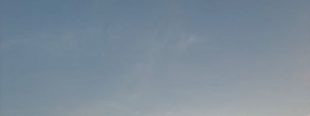 こりらさんの壁紙画像