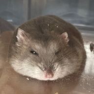ゆきさんのアイコン画像