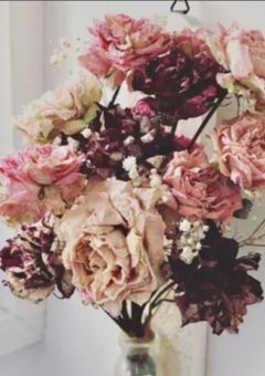 ＃告白しなきゃ始まらない