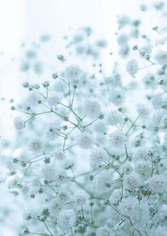 ＃もう一度守らせて。