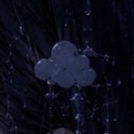 星陰 雨零 🌧🌃☄️@土日休みなのに忙しいのは何故？？？さんのアイコン画像