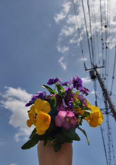 いつだって君の隣は