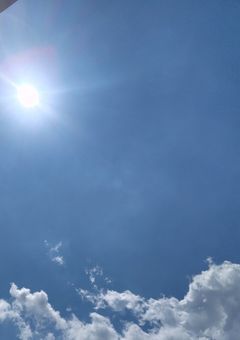 憎いんだ、君が