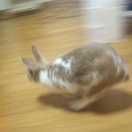 あいさんのアイコン画像