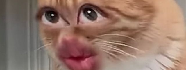 Я7dLさんの壁紙画像