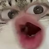 Я7dLさんのアイコン画像