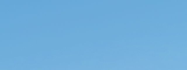 ないたんさんの壁紙画像