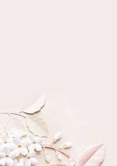 のあさんの妹ちゃん