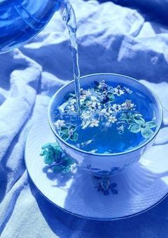 月が沈むまでの恋＿＿