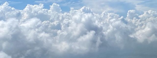 モロヘイヤだよ☆彡.。さんの壁紙画像