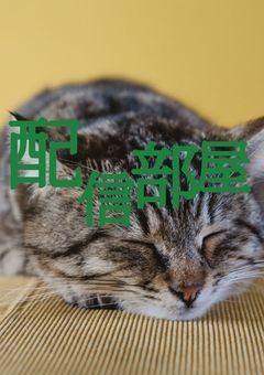 真央の配信部屋🌱💚😼🫧