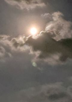 不思議な〇〇国出身の最恐魔女様はいつでも気まぐれ•*¨*•.¸♬︎