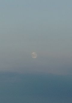 とある精神病院の女の子のお話。彼女には少数人しか知らない秘密が？､､､