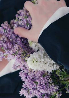 もう一度君に逢いたい