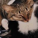 ぬっっっっっししし