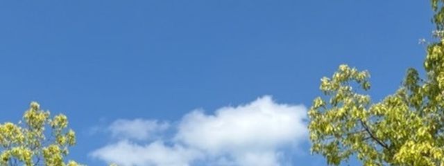 たいはくせいさんの壁紙画像