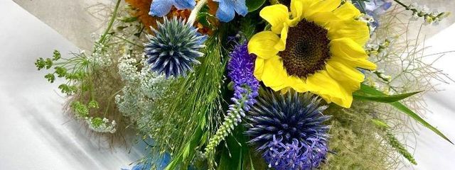 Ricoさんの壁紙画像