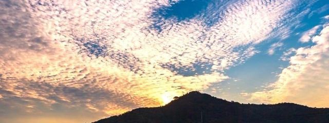 ほまれ さんの壁紙画像