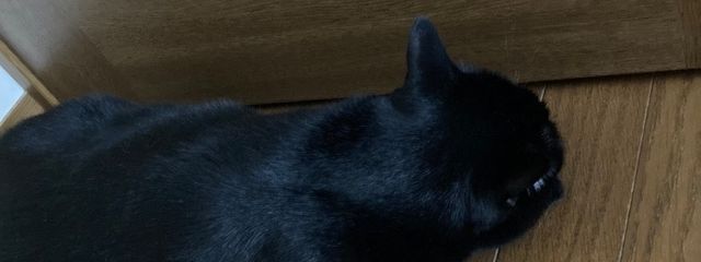 ぜろぉにさんの壁紙画像