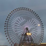 森のユマさんさんのアイコン画像