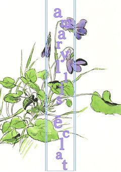 【公式】amaryllis éclat事務所