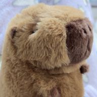 ふうさんのアイコン画像