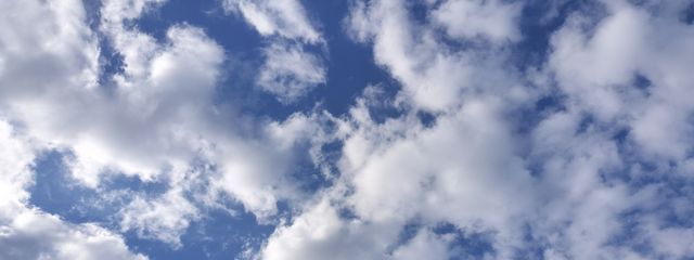 空心さんの壁紙画像