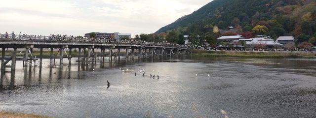 雨譜玲さんの壁紙画像