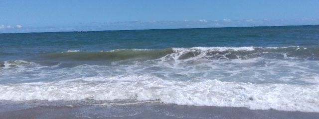 結狐ฅ 🩹💉さんの壁紙画像