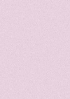 ツンデレな相方にめちゃくちゃ好かれてた件について