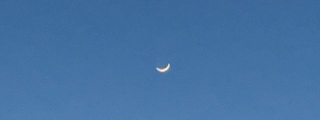 ﾕｷｶﾞｯｾﾝさんの壁紙画像