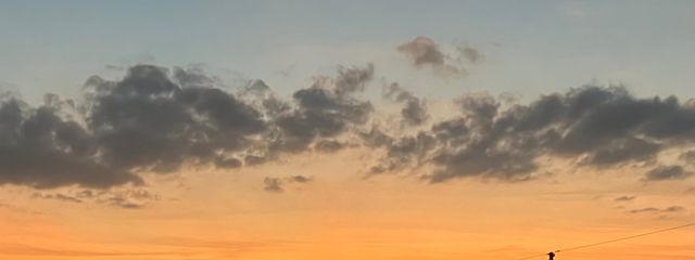 桜 吹雪さんの壁紙画像