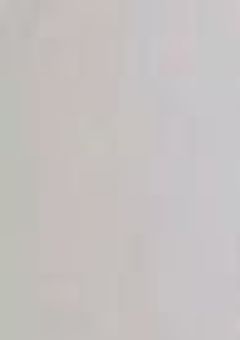 私たちって、、、？