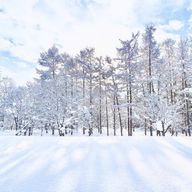 ユッキーさんのアイコン画像