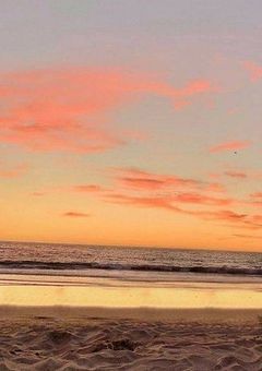  最後のダンサー