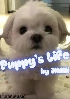 puppy life
