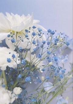 　#   すたでぃーるーむ　　。