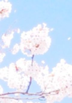 6人で奏でる音色______