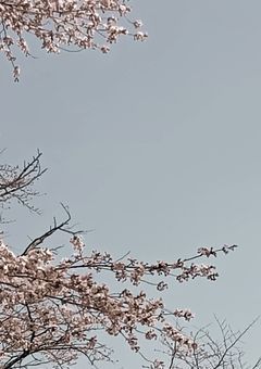 【stxl】雨模様
