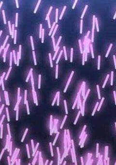 表の心裏の心-アイドルは楽じゃない-