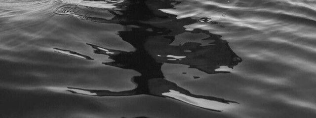 Seizea. 無期限更新休止さんの壁紙画像