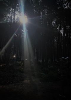 　막내受けss