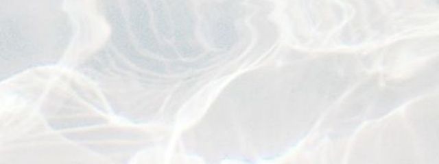 くろいぬさんの壁紙画像