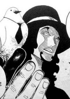 完結【ONE PIECE】🔞正義と悪(ロブルッチ)