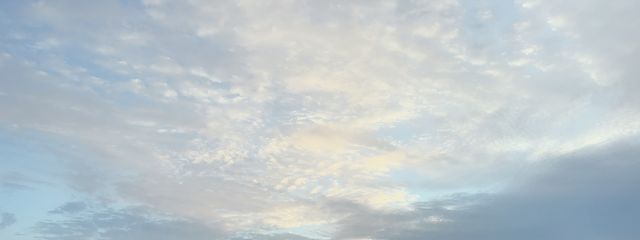 yuiさんの壁紙画像