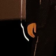 グミさんのアイコン画像