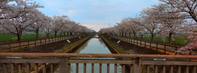 ルシュさんの壁紙画像