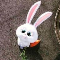 ririnさんのアイコン画像