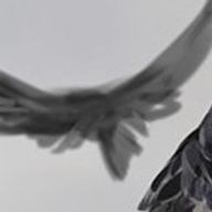 Rito.0000さんのアイコン画像