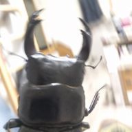 ささちー   最近は見る専.不定期さんのアイコン画像